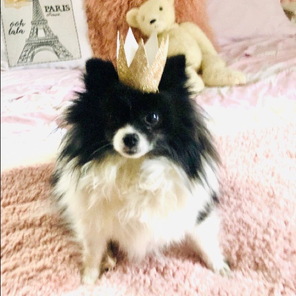 fabgigigirl